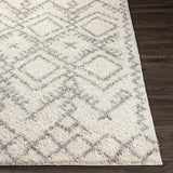 Surya Taza Shag TZS-2326 5'2" x 7' Rug