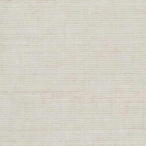 Surya Templeton TPL-4001 Ivory 2' x 3' Rug