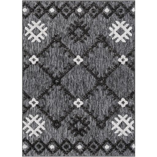 Surya Toledo TLD-2304 5'3" x 7' Rug