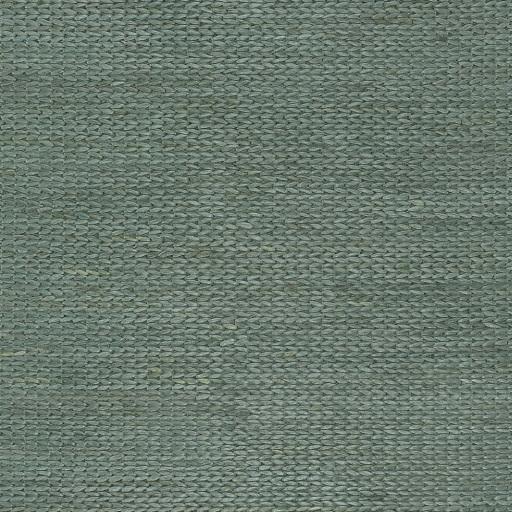 Surya Tropics TRO-1004 Dusty Sage 2' x 3' Rug