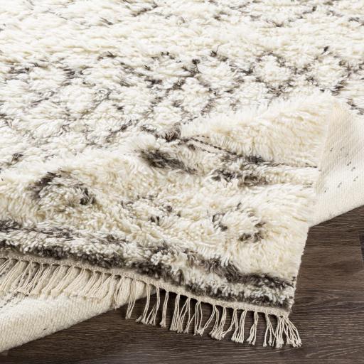 Surya Tulum TMU-2303 2' x 3' Rug