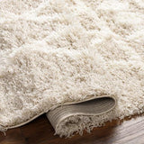 Surya Urban Shag USG-2345 6'7" x 9'6" Rug