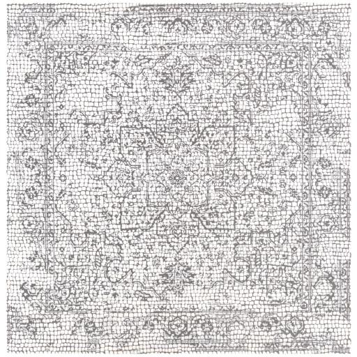 Surya Venezia VNZ-2309 6'7" Square Rug