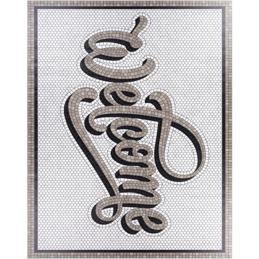 Surya Vinilo VNL-2310 6'6" x 8'2" Rug