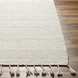 Surya Vivian VVI-2301 Cream Gray 2' x 3' Rug