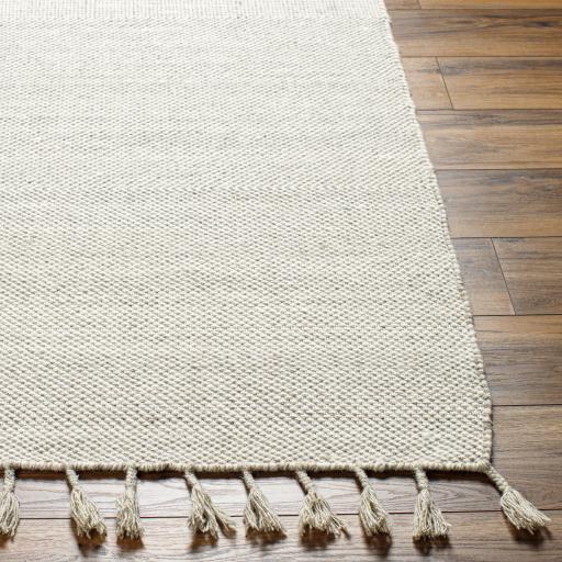Surya Vivian VVI-2301 2' x 3' Rug