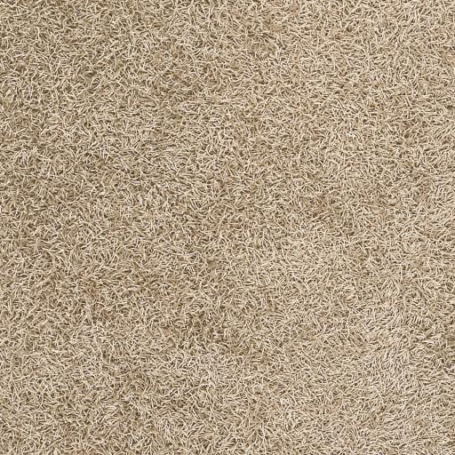 Surya Vivid VIV-800 2'6" x 4'2" Rug