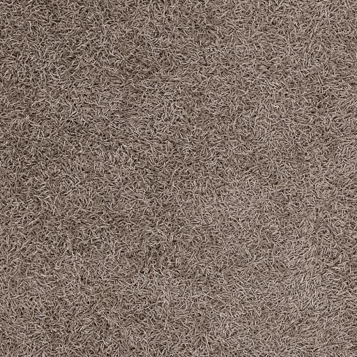 Surya Vivid VIV-802 Brown 9' x 13' Rug