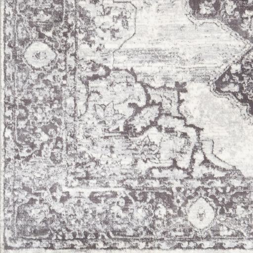 Surya Wanderlust WNL-2303 8'10" x 12'4" Rug