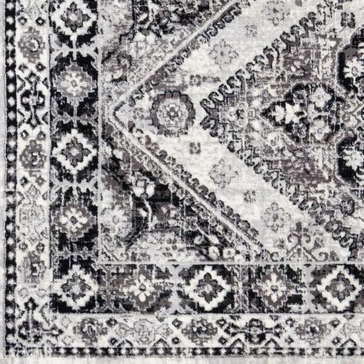Surya Wanderlust WNL-2315 6'7" x 9' Rug