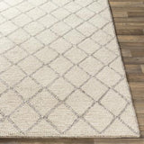Surya Whistler WSR-2300 2' x 3' Rug