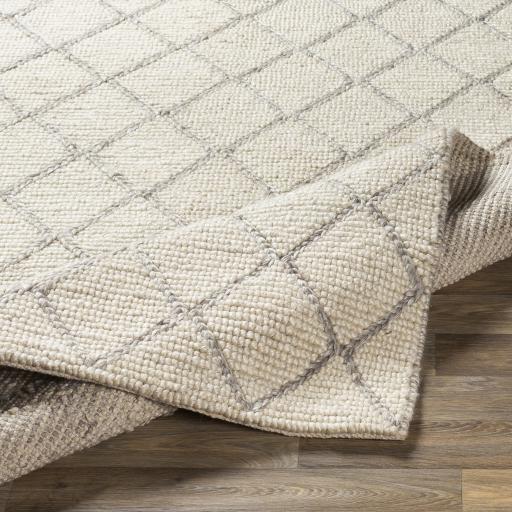 Surya Whistler WSR-2300 2' x 3' Rug