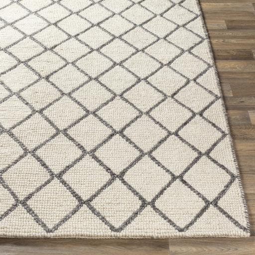Surya Whistler WSR-2304 2' x 3' Rug