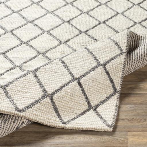 Surya Whistler WSR-2304 2' x 3' Rug