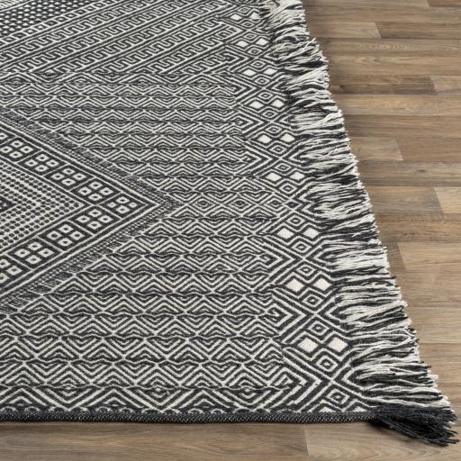 Surya Zanafi ZNF-2303 Black Ivory 2' x 3' Rug