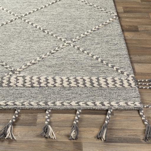 Surya Zanafi Tassels ZTS-2306 Cream Medium Gray 2' x 3' Rug