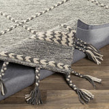 Surya Zanafi Tassels ZTS-2306 Cream Medium Gray 2' x 3' Rug