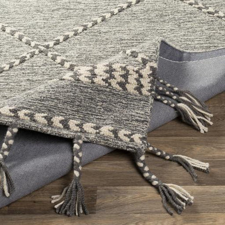 Surya Zanafi Tassels ZTS-2306 Cream Medium Gray 2' x 3' Rug