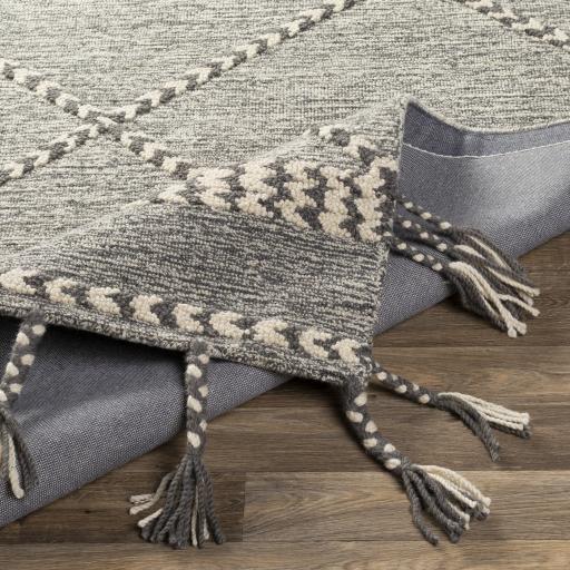 Surya Zanafi Tassels ZTS-2306 2' x 3' Rug