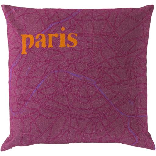 Surya City Maps SY-017 22"H x 22"W Pillow Cover