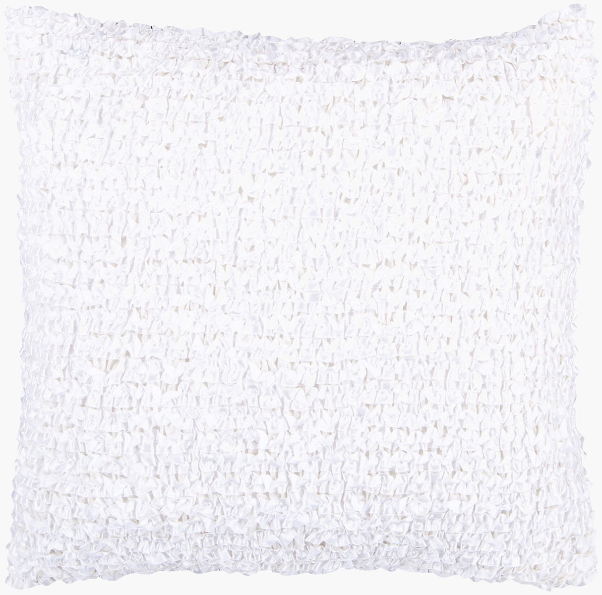 Surya Decorative Pillows ACO-404 22"H x 22"W Pillow Kit