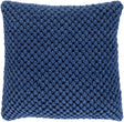 Surya Godavari GDA-004 22"H x 22"W Pillow Cover
