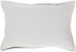 Surya Hamden HMD-002 18"H x 18"W Pillow Cover