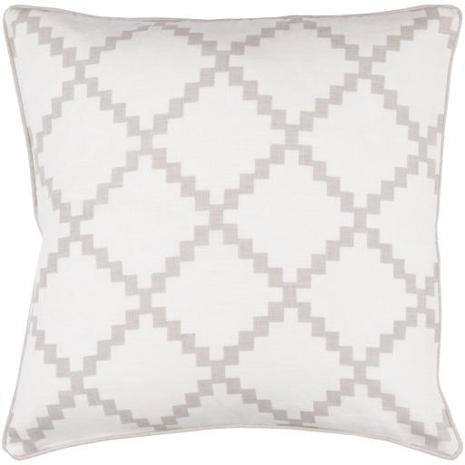 Surya Parsons PR-002 22"H x 22"W Pillow Cover