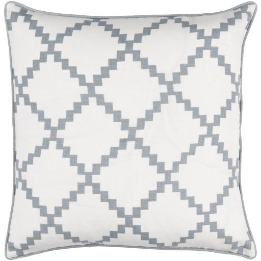 Surya Parsons PR-003 22"H x 22"W Pillow Cover