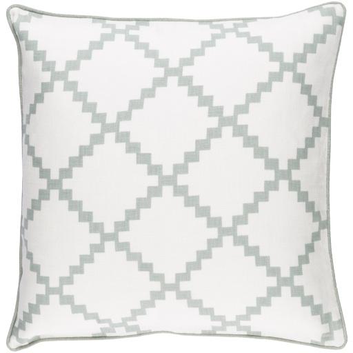Surya Parsons PR-004 18"H x 18"W Pillow Cover