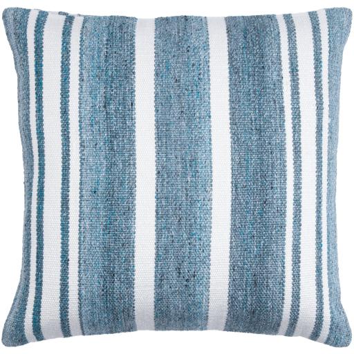 Surya Rayer RYE-001 18"H x 18"W Pillow Cover