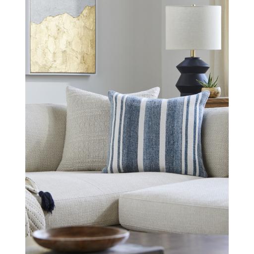 Surya Rayer RYE-001 18"H x 18"W Pillow Kit