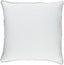Surya Sasha AH-004 20"H x 20"W Pillow Cover