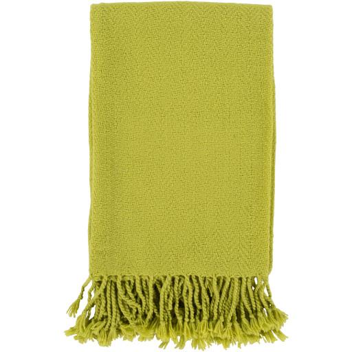 Surya Turner TUR-8401 50"W x 60"L Throw