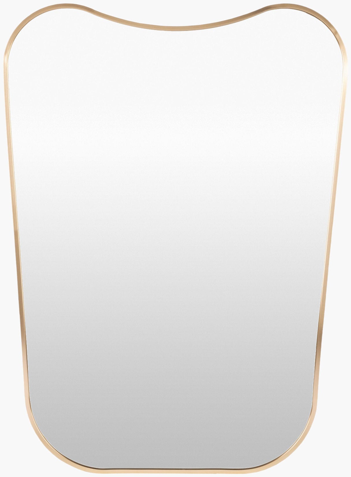 Livabliss Bellona OLO-002 36"H x 24"W x 1"D Mirror