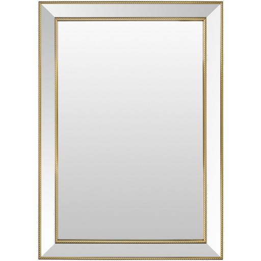 Surya Constantine TTO-002 43"H x 31"W x 1"D Mirror