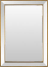 Livabliss Constantine TTO-002 43"H x 31"W x 1"D Mirror