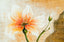 Surya Surya Wall Decor HPO-5021 24"H x 36"W Art