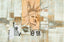 Surya Surya Wall Decor HPO-5024 24"H x 36"W Art
