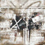 Surya Surya Wall Decor HPO-5052 32"H x 32"W