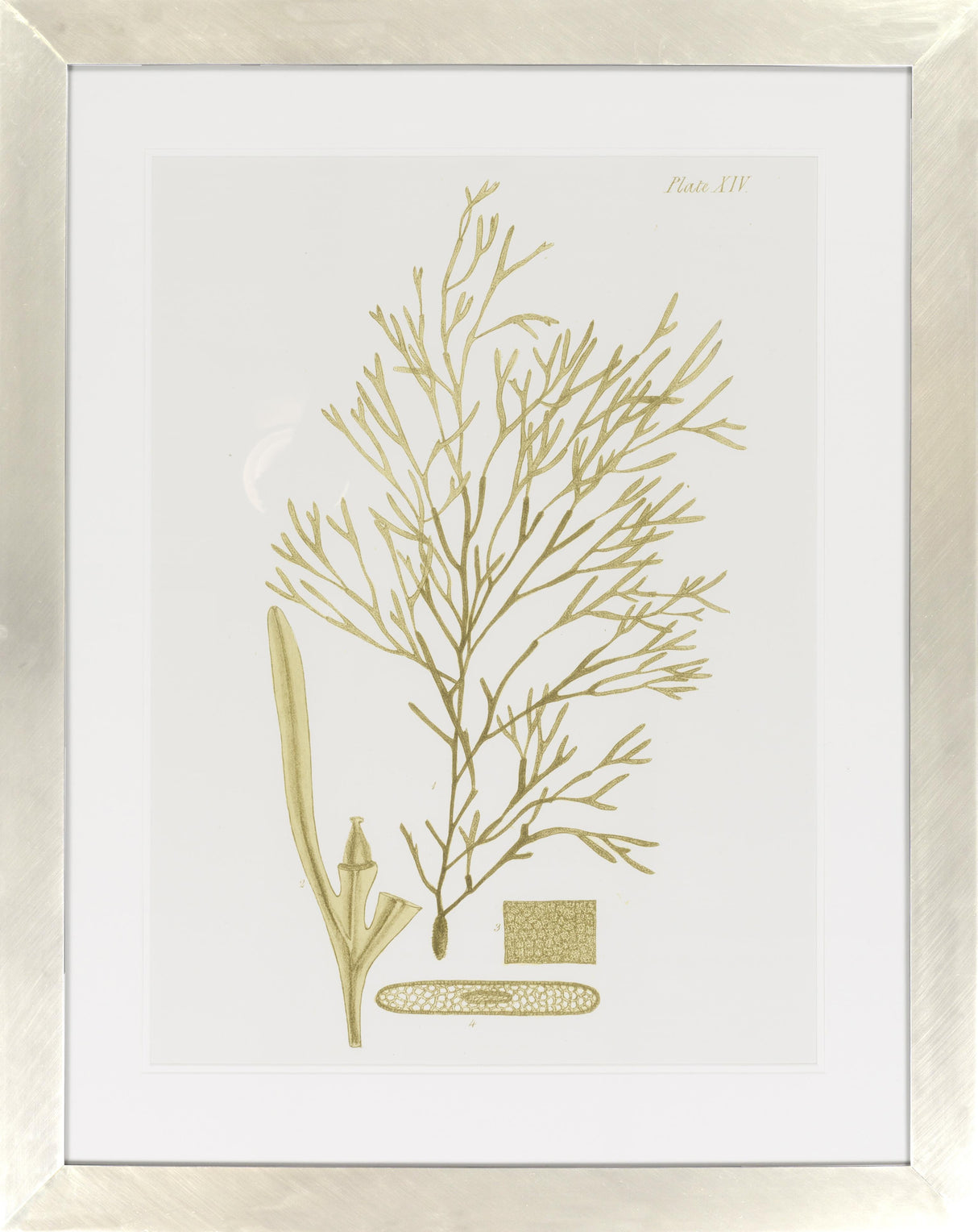 Surya Surya Wall Decor LJ-4009 40"H x 32"W Wall Art Piece