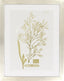 Surya Surya Wall Decor LJ-4009 40"H x 32"W Wall Art Piece