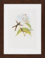 Surya Surya Wall Decor LJ-4013 33"H x 26"W Wall Art Piece