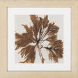 Surya Surya Wall Decor LJ-4035 24"H x 24"W x 1"D Wall Art Piece