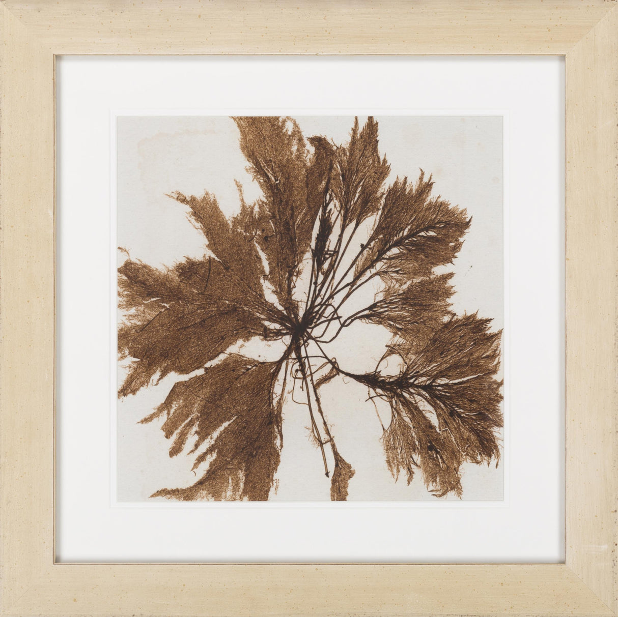 Surya Surya Wall Decor LJ-4035 24"H x 24"W x 1"D Wall Art Piece