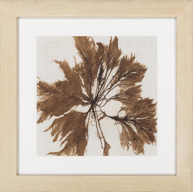 Surya Surya Wall Decor LJ-4035 24"H x 24"W x 1"D Wall Art Piece
