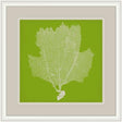 Surya Surya Wall Decor LJ-4237 29"H x 29"W Wall Art Piece