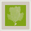 Surya Surya Wall Decor LJ-4237 29"H x 29"W Wall Art Piece