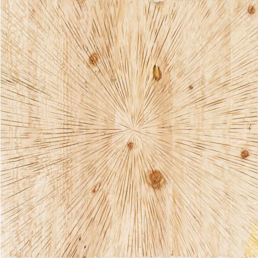 Surya Surya Wall Decor PLM-8000 36"H x 36"W Wall Art Piece