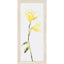 Surya Surya Wall Decor TIP-5002 26"H x 12"W Wall Art Piece